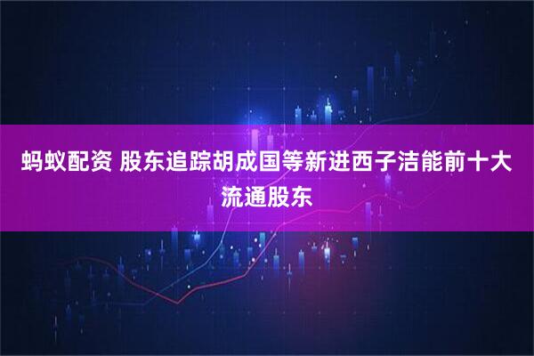 蚂蚁配资 股东追踪胡成国等新进西子洁能前十大流通股东