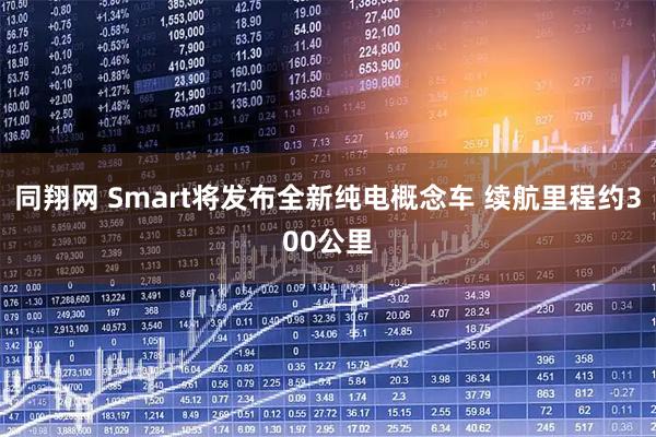 同翔网 Smart将发布全新纯电概念车 续航里程约300公里