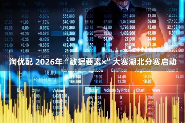 淘优配 2026年“数据要素×”大赛湖北分赛启动