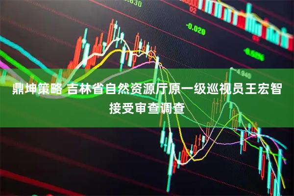 鼎坤策略 吉林省自然资源厅原一级巡视员王宏智接受审查调查