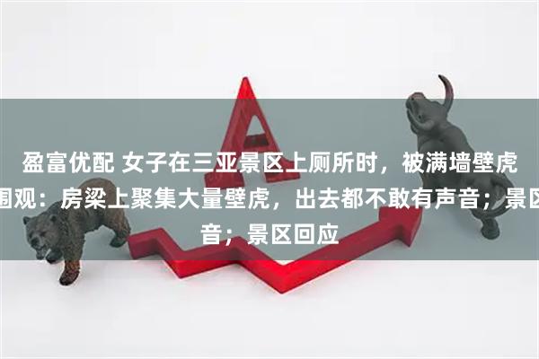 盈富优配 女子在三亚景区上厕所时，被满墙壁虎集体围观：房梁上聚集大量壁虎，出去都不敢有声音；景区回应