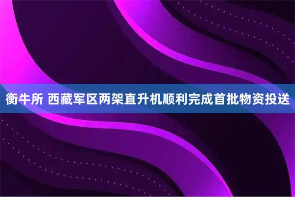 衡牛所 西藏军区两架直升机顺利完成首批物资投送